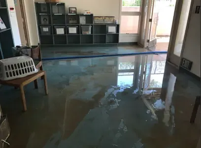 A Southern California home in Santee, CA with drying equipment during a water damage job